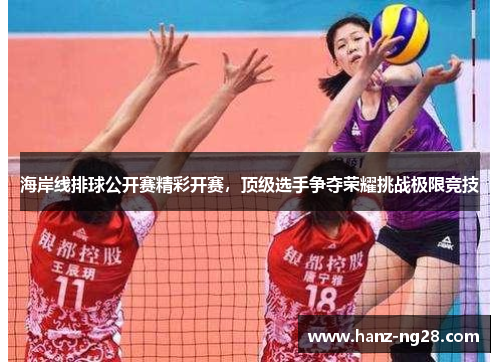海岸线排球公开赛精彩开赛,顶级选手争夺荣耀挑战极限竞技 海岸线排球公开赛精彩开赛,顶级选手争夺荣耀挑战极限竞技