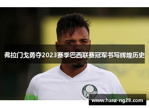 弗拉门戈勇夺2023赛季巴西联赛冠军书写辉煌历史 弗拉门戈勇夺2023赛季巴西联赛冠军书写辉煌历史